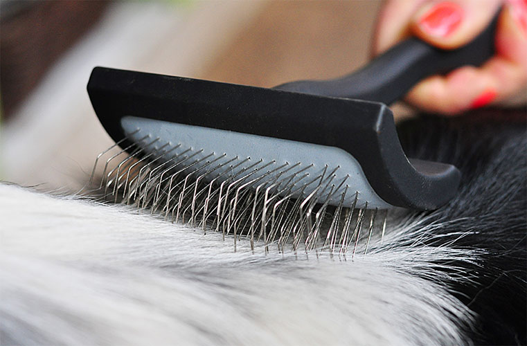 Pet Care Brush